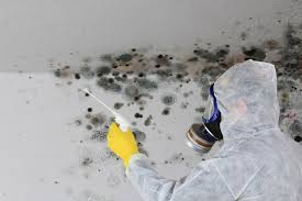 Best Residential Mold Inspection & Testing  in Two Rivers, WI